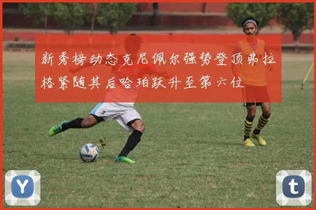 新秀榜动态克尼佩尔强势登顶弗拉格紧随其后哈珀跃升至第六位