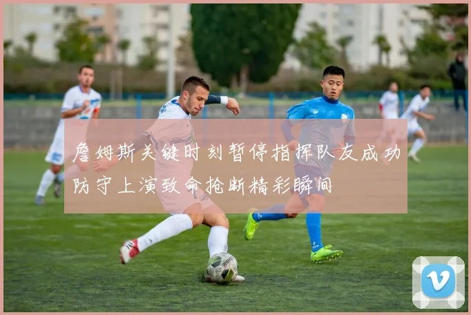 詹姆斯关键时刻暂停指挥队友成功防守上演致命抢断精彩瞬间