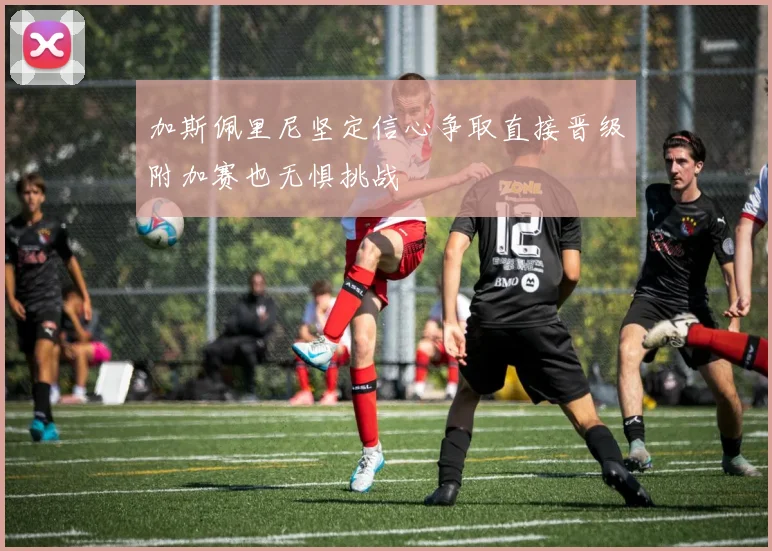 加斯佩里尼坚定信心争取直接晋级附加赛也无惧挑战
